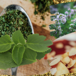 Oregano Uses and Benefits for Health, Cooking, and Wellness