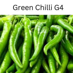 Green Chilli G4