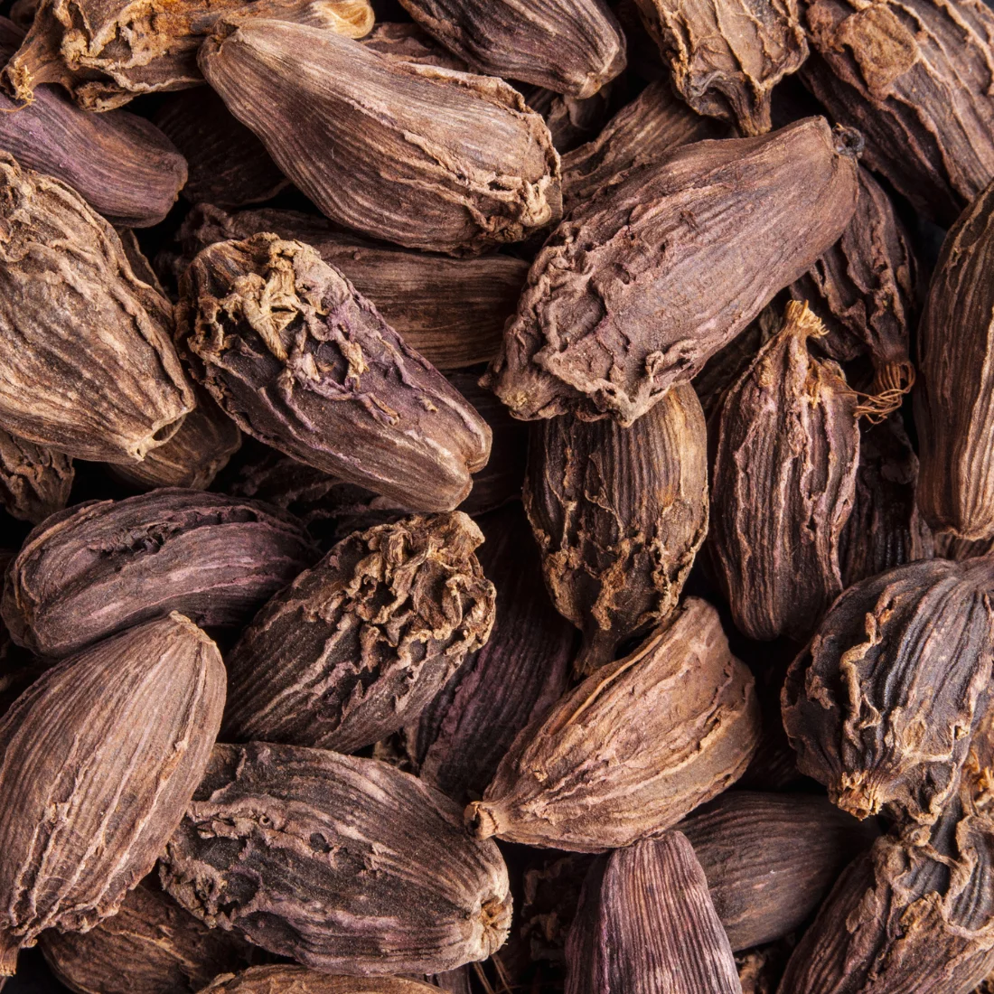 Black Cardamom 25 gm Pouch