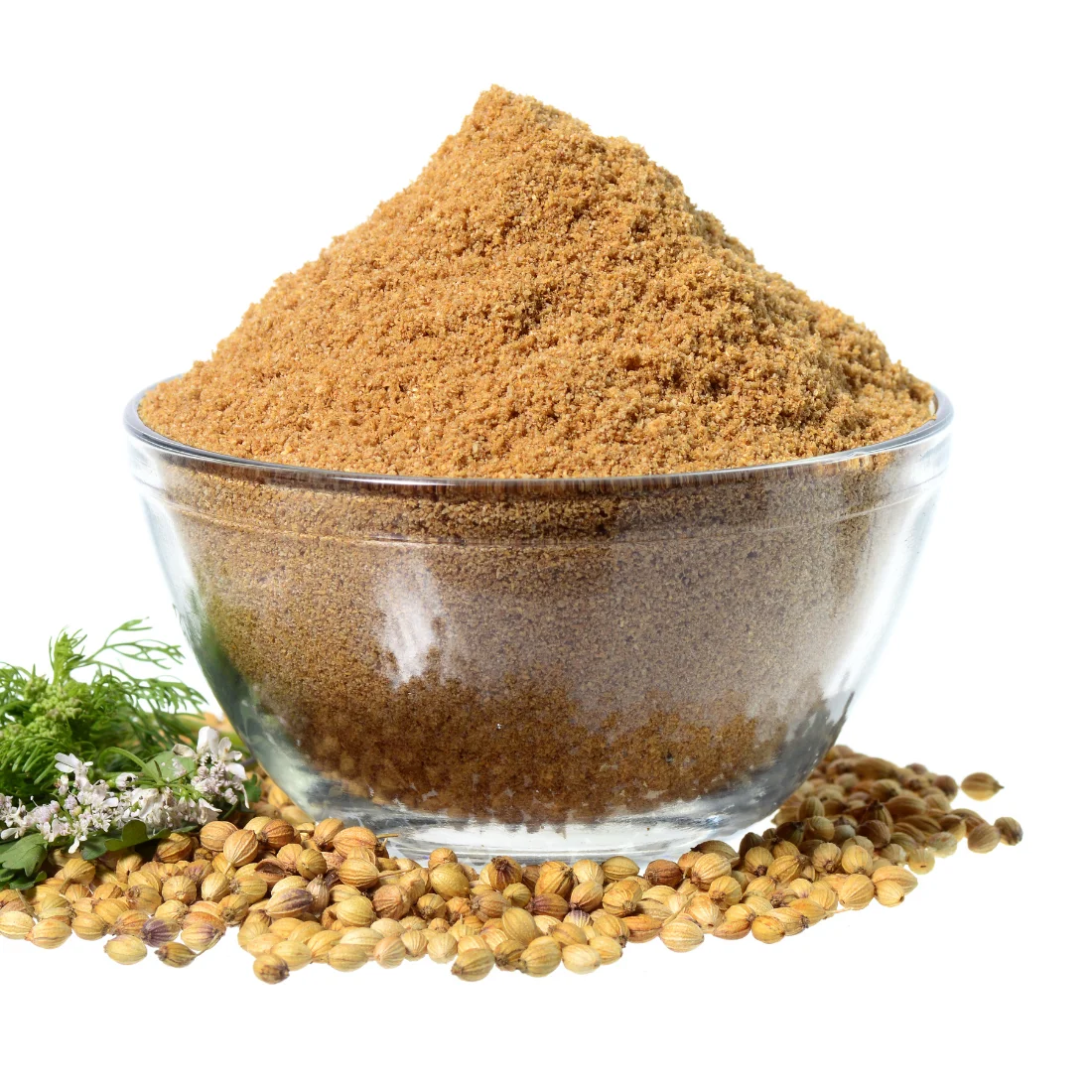 Coriander (Dhania) Powder 100 gm Pouch