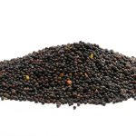 Nährwert von Schwarzen Senfsamen (Kalorien, Vitamine & Mineralstoffe)