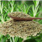 What Is Rosemary? Uses, Benefits, and How to Use It